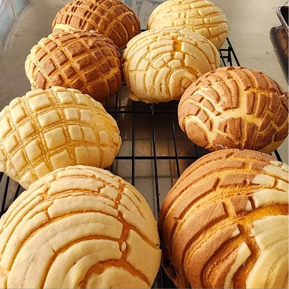 Imagen de galería #5