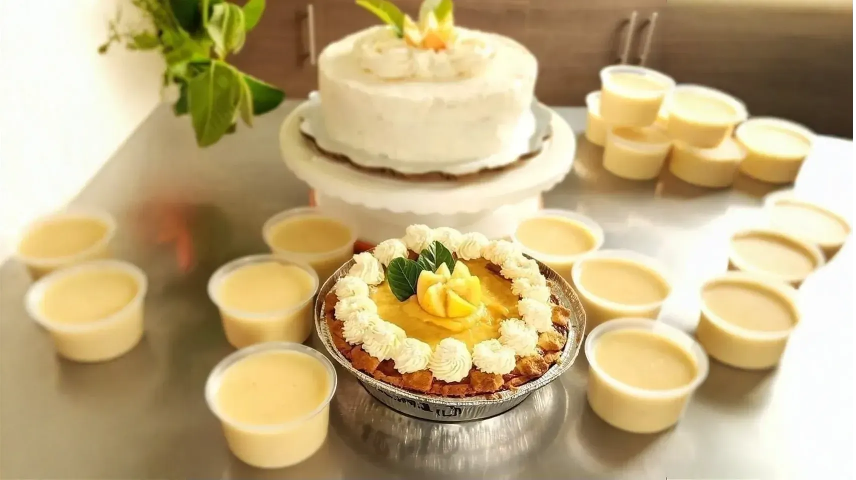 Imagen de galería #5