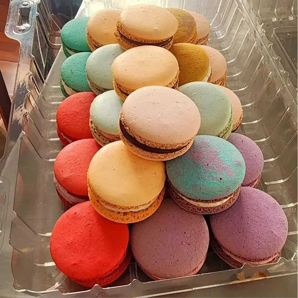 Imagen de galería #2