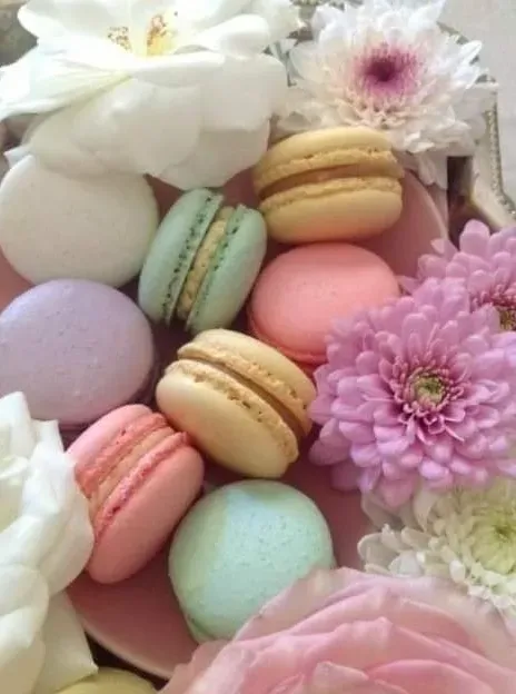 Imagen de galería #1