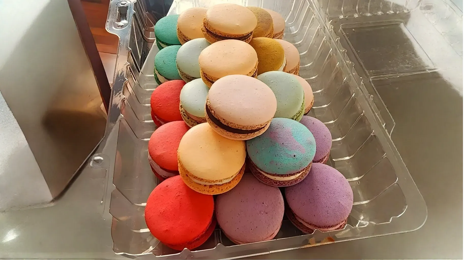 Imagen de galería #6