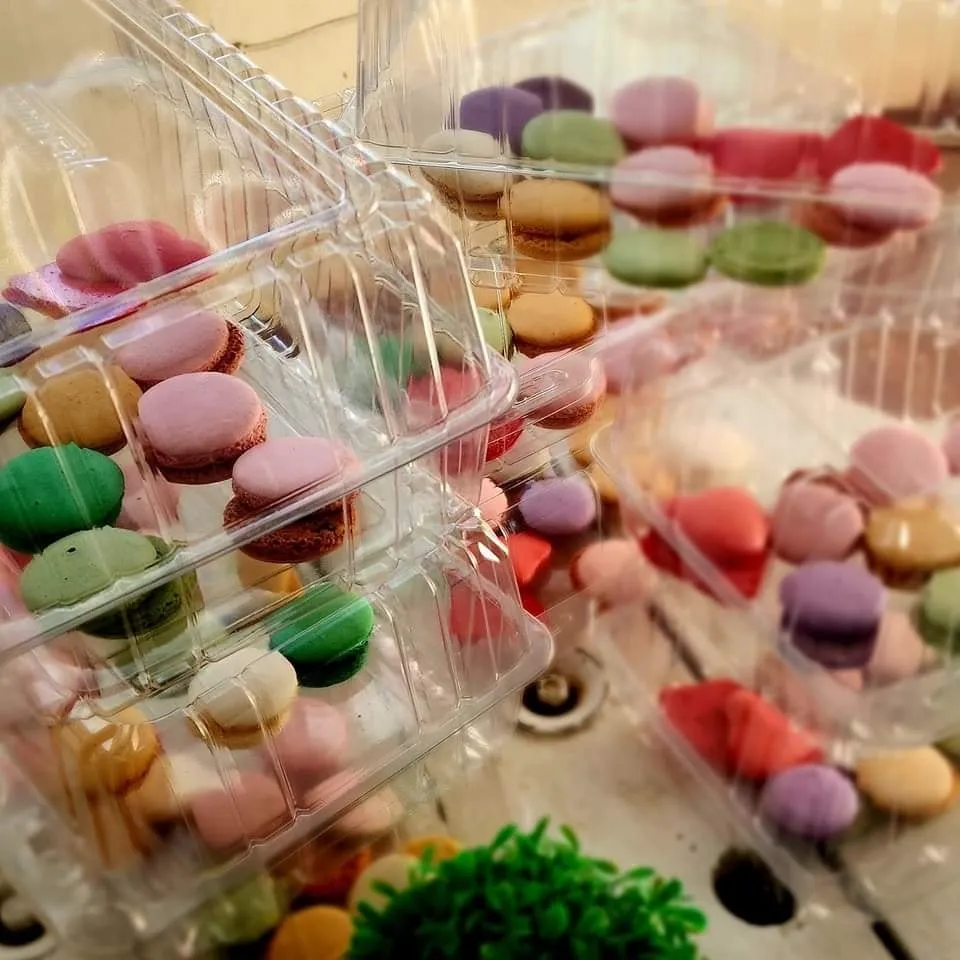 Imagen de galería #4