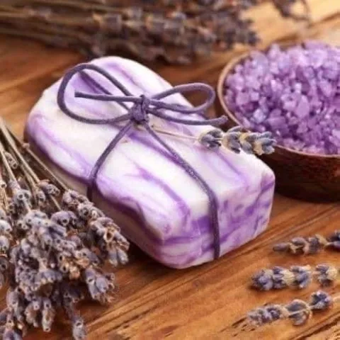 Imagen de galería #5