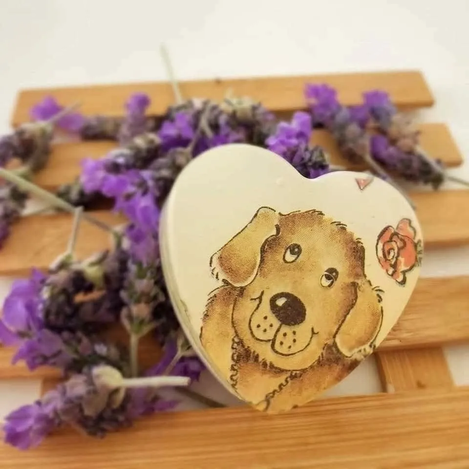 Imagen de galería #9