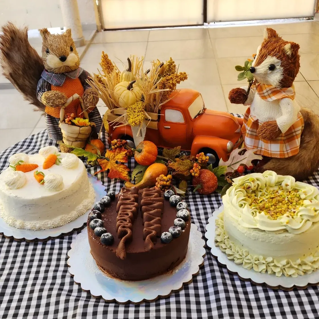 Imagen de galería #7