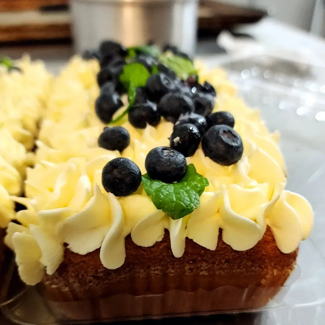 Imagen de galería #3